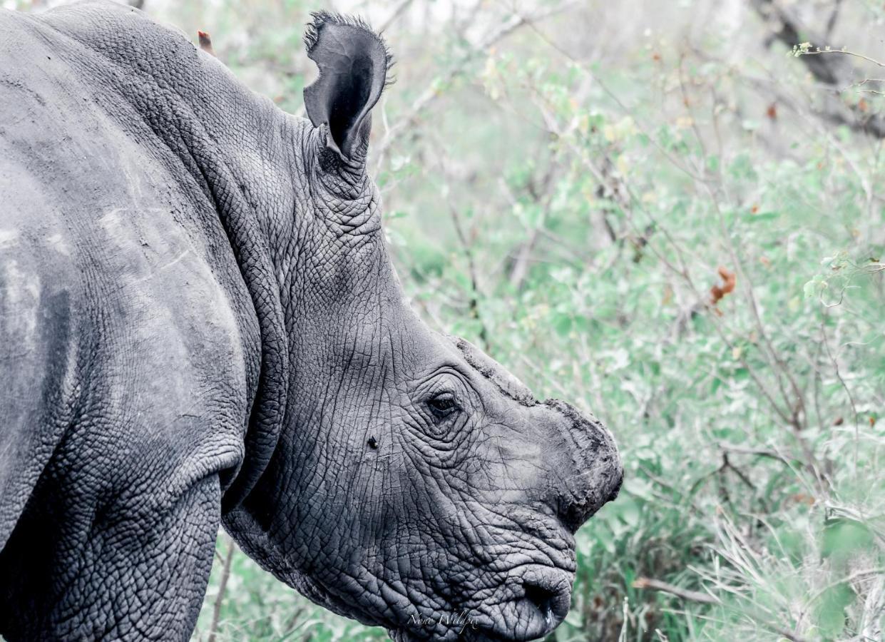 Milima Big 5 Safari Lodge Hoedspruit Esterno foto