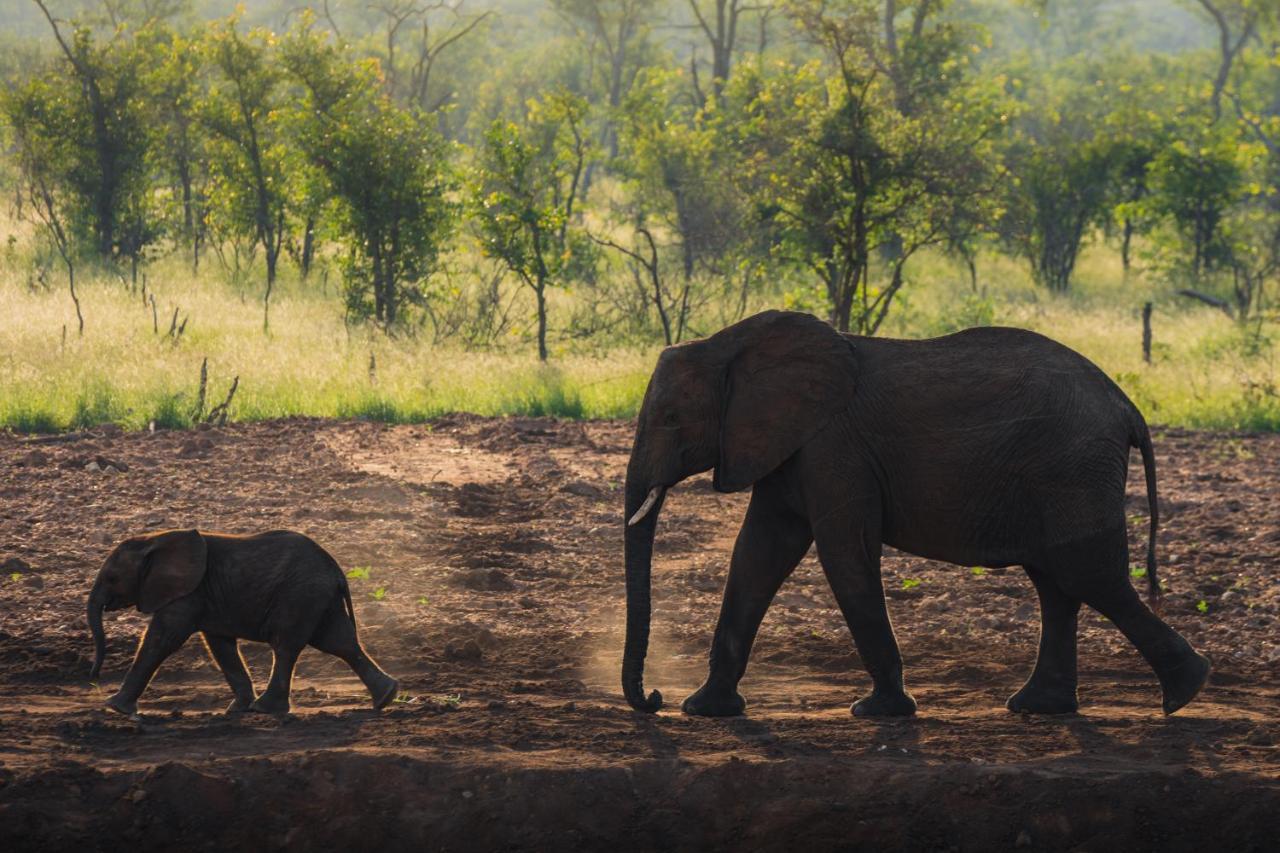 Milima Big 5 Safari Lodge Hoedspruit Esterno foto