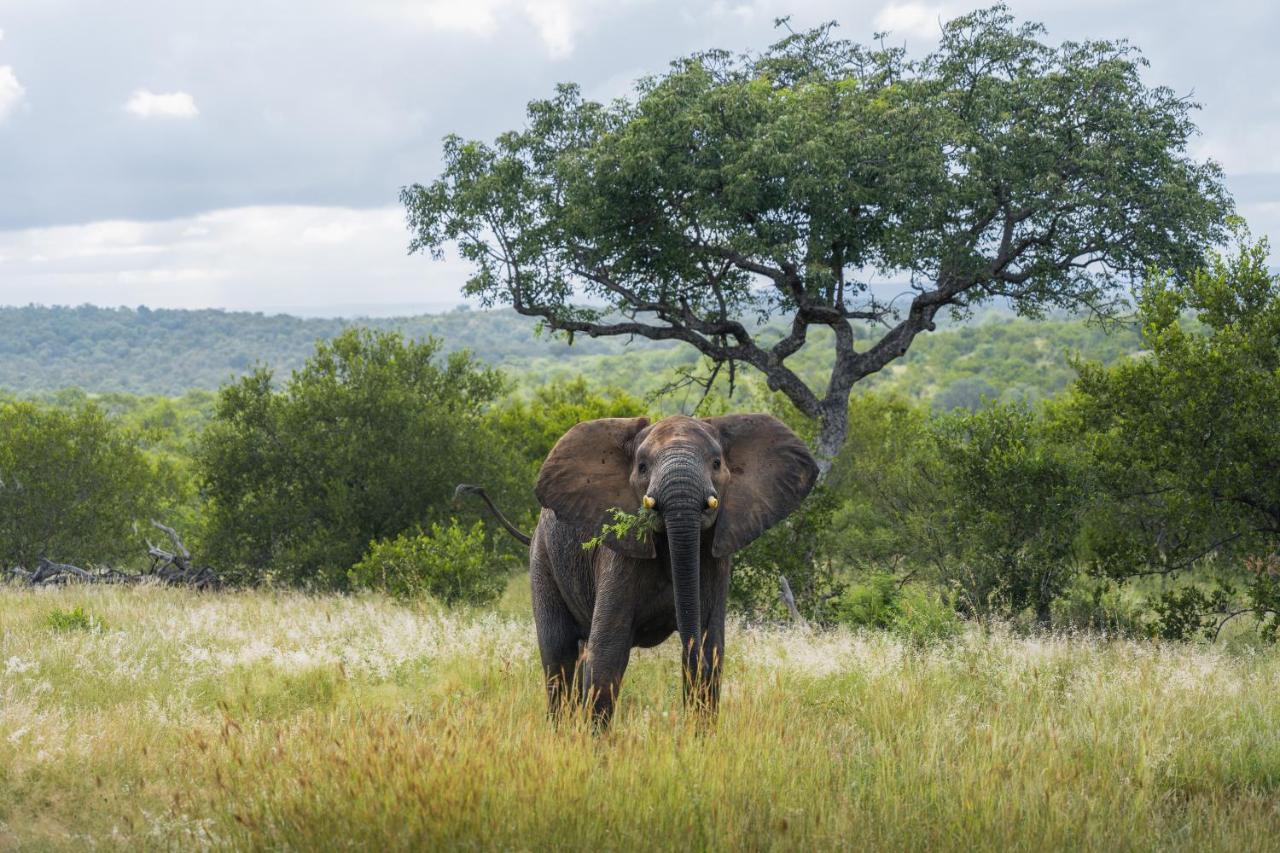 Milima Big 5 Safari Lodge Hoedspruit Esterno foto