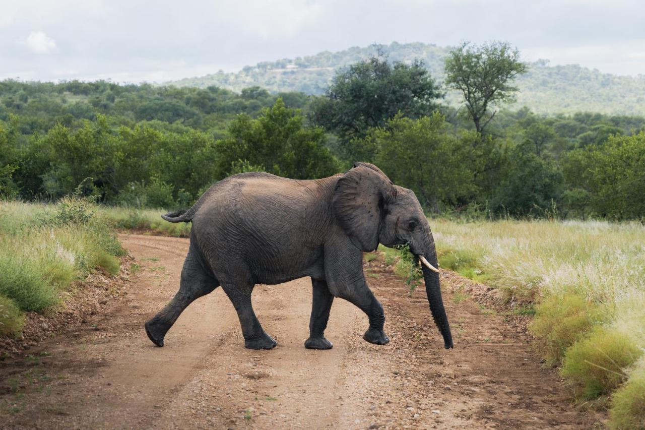Milima Big 5 Safari Lodge Hoedspruit Esterno foto