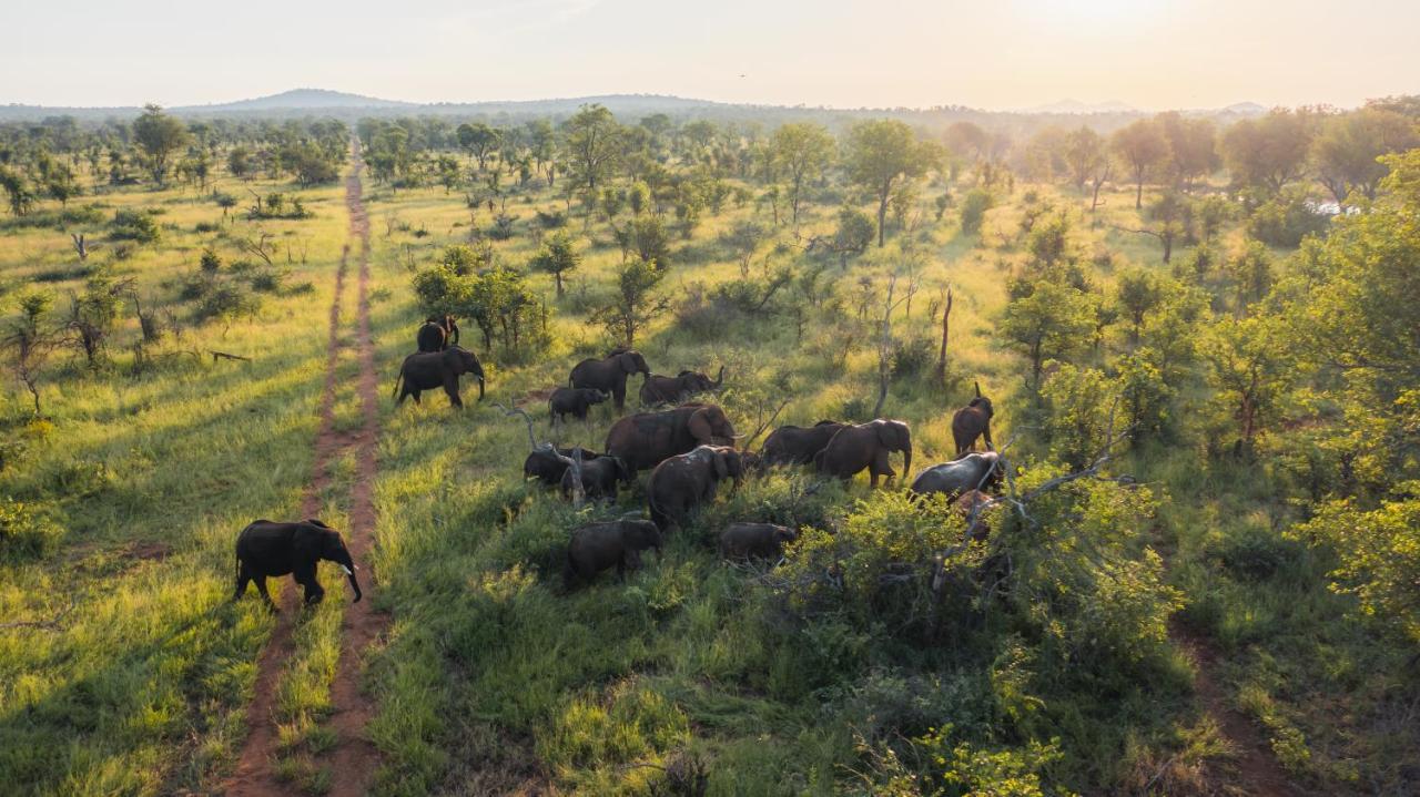 Milima Big 5 Safari Lodge Hoedspruit Esterno foto